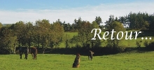 Annuaire-Lozre.com - Les prestataires touristiques de Lozre